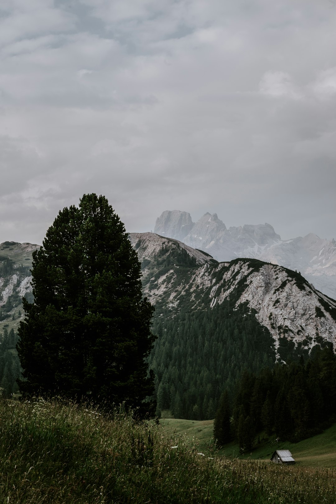 Hill photo spot Prato Piazza Giau Pass