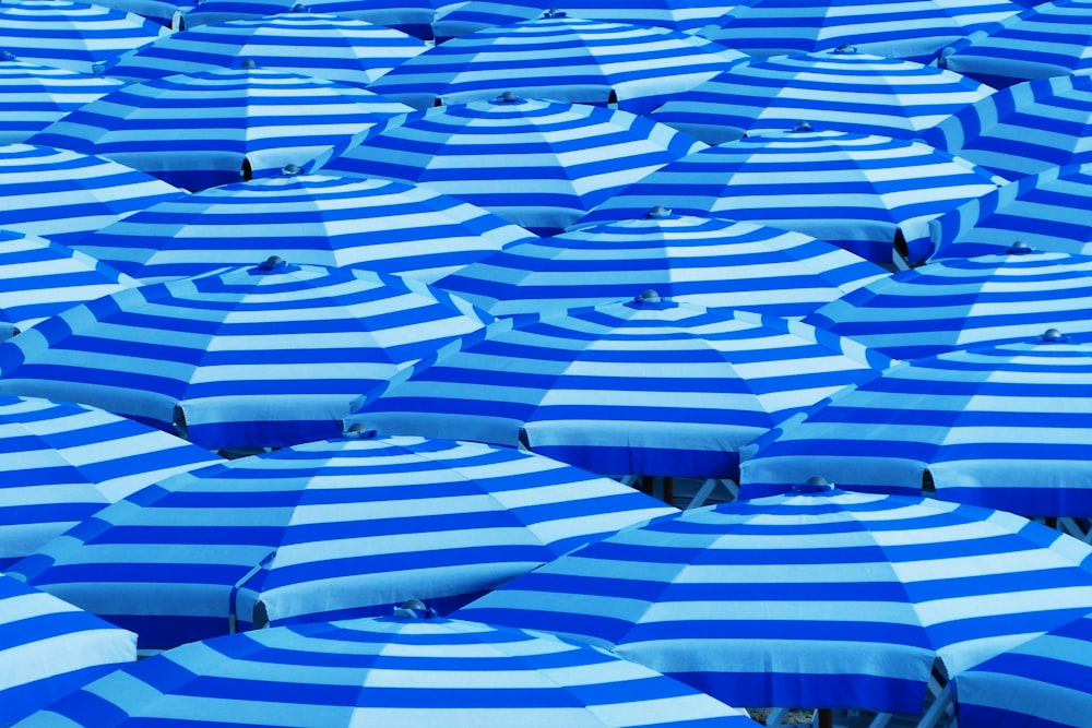 paraguas azules y blancos
