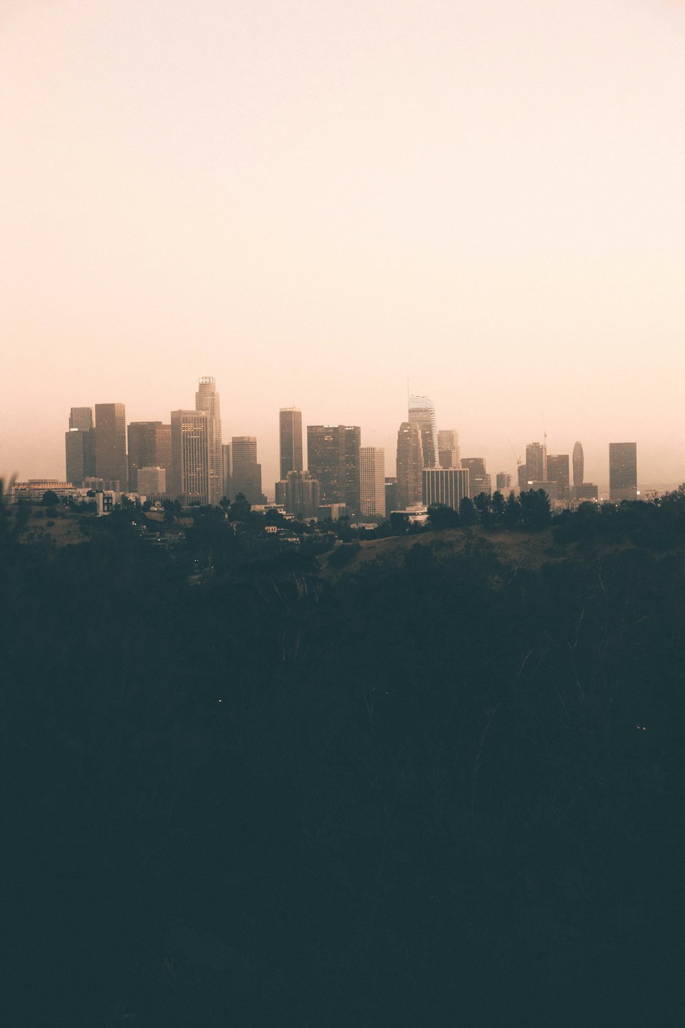 high rise buildings at daytime