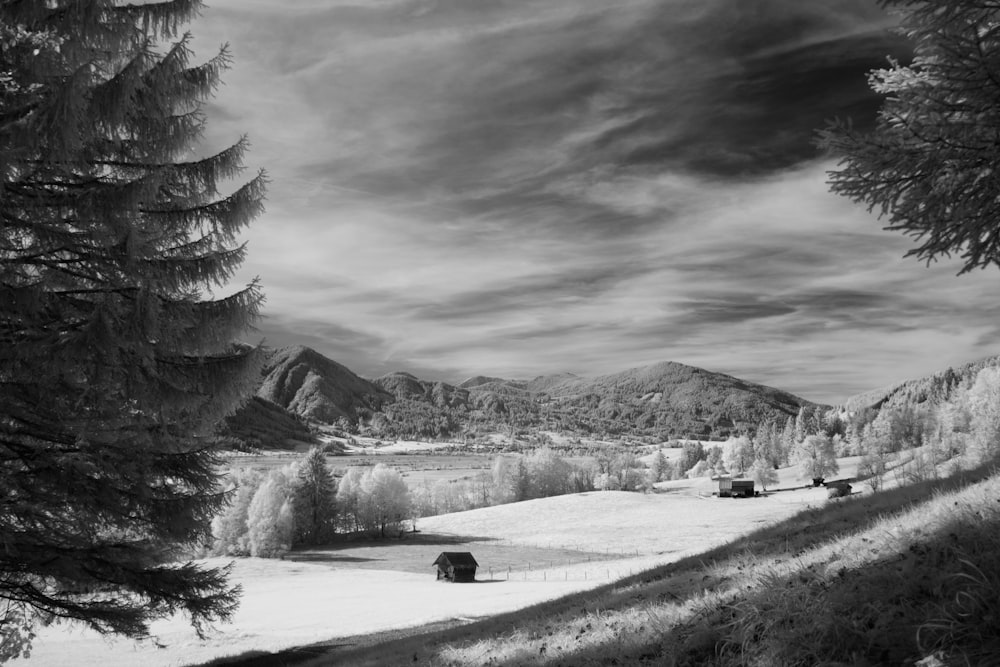 grayscale photo of houses on field