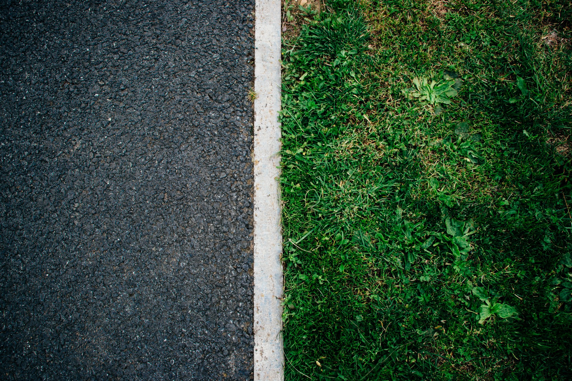 green grass near the gray road