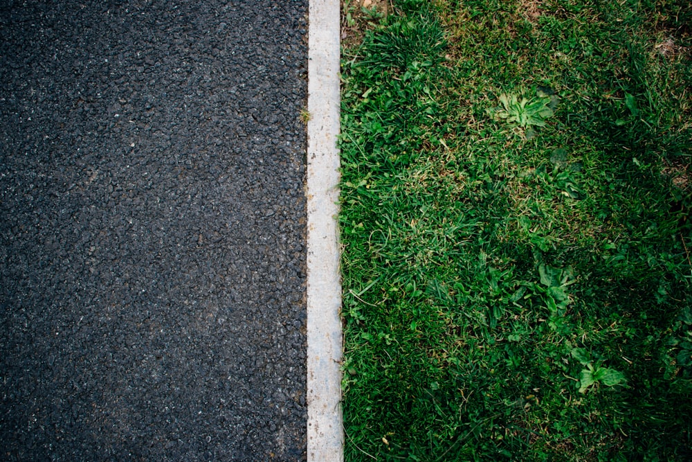 erba verde vicino alla strada grigia