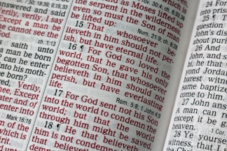Bible verse photo
