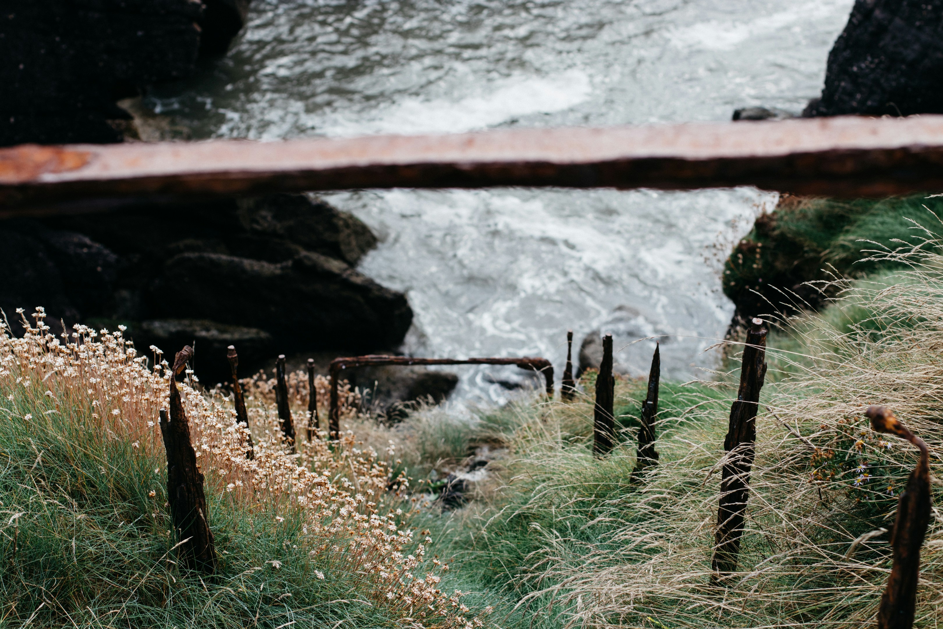 wide angle photo of green grass field