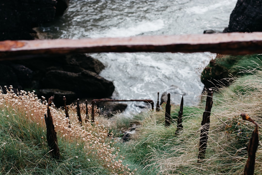 photo of Dunmore East Nature reserve near Saltee Islands