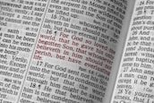 An open Bible displaying a passage highlighted in red text, specifically John 3:16, surrounded by other passages in black text. The pages are close together, showing columns of text with verse numbers.