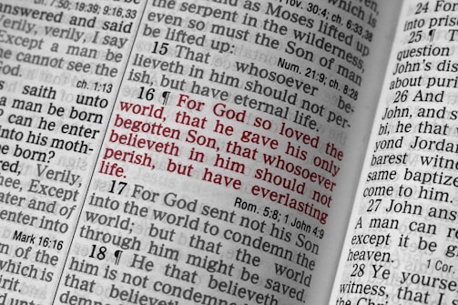 An open Bible displaying a passage highlighted in red text, specifically John 3:16, surrounded by other passages in black text. The pages are close together, showing columns of text with verse numbers.