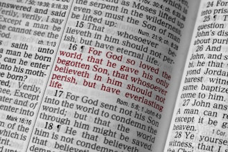 An open Bible displaying a passage highlighted in red text, specifically John 3:16, surrounded by other passages in black text. The pages are close together, showing columns of text with verse numbers.