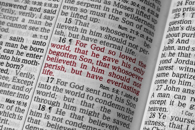 An open Bible displaying a passage highlighted in red text, specifically John 3:16, surrounded by other passages in black text. The pages are close together, showing columns of text with verse numbers.
