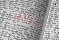 An open Bible displaying a passage highlighted in red text, specifically John 3:16, surrounded by other passages in black text. The pages are close together, showing columns of text with verse numbers.