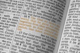 John 3:16 bible verse
