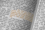 John 3:16 bible verse