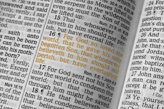 John 3:16 bible verse