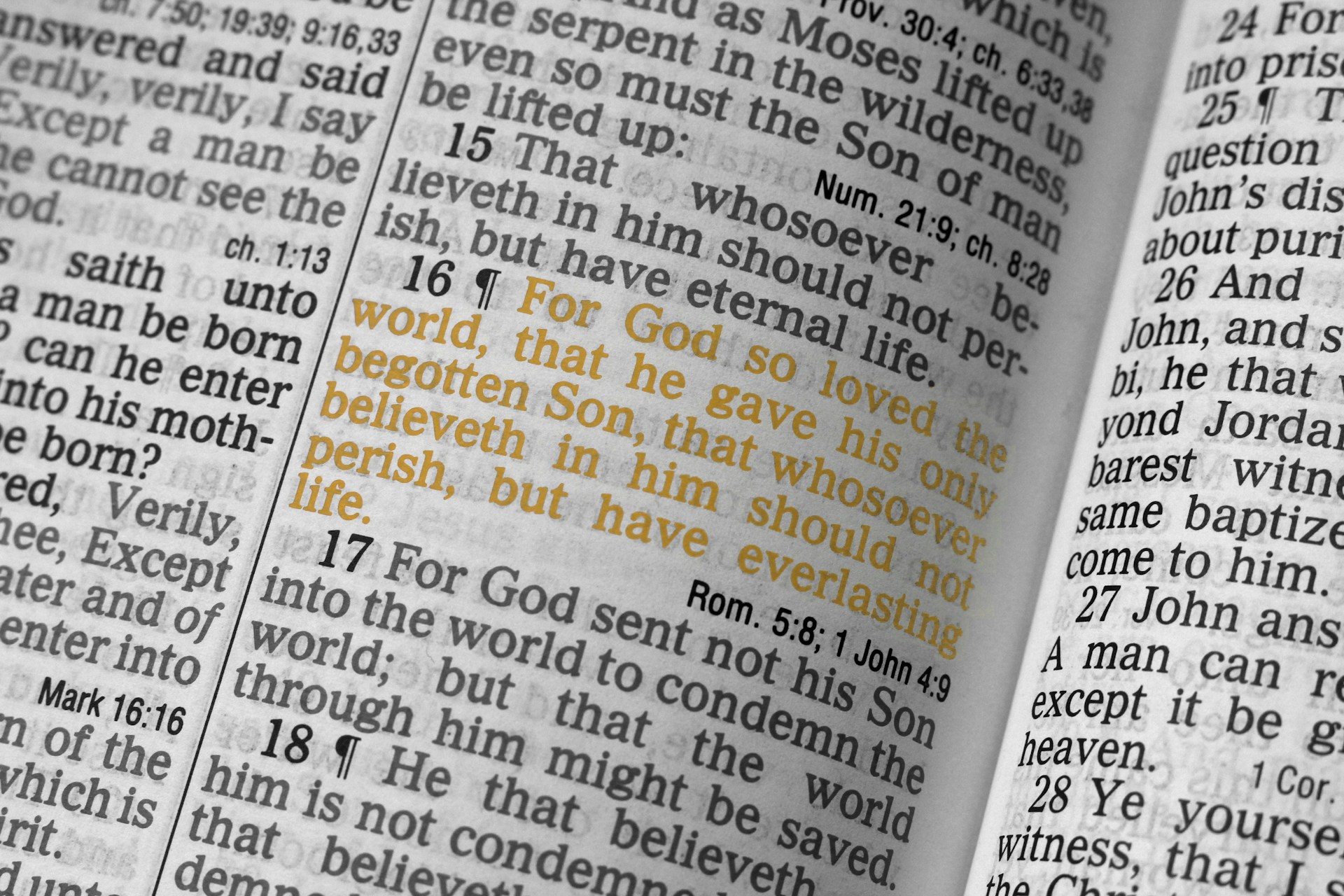 John 3:16 bible verse