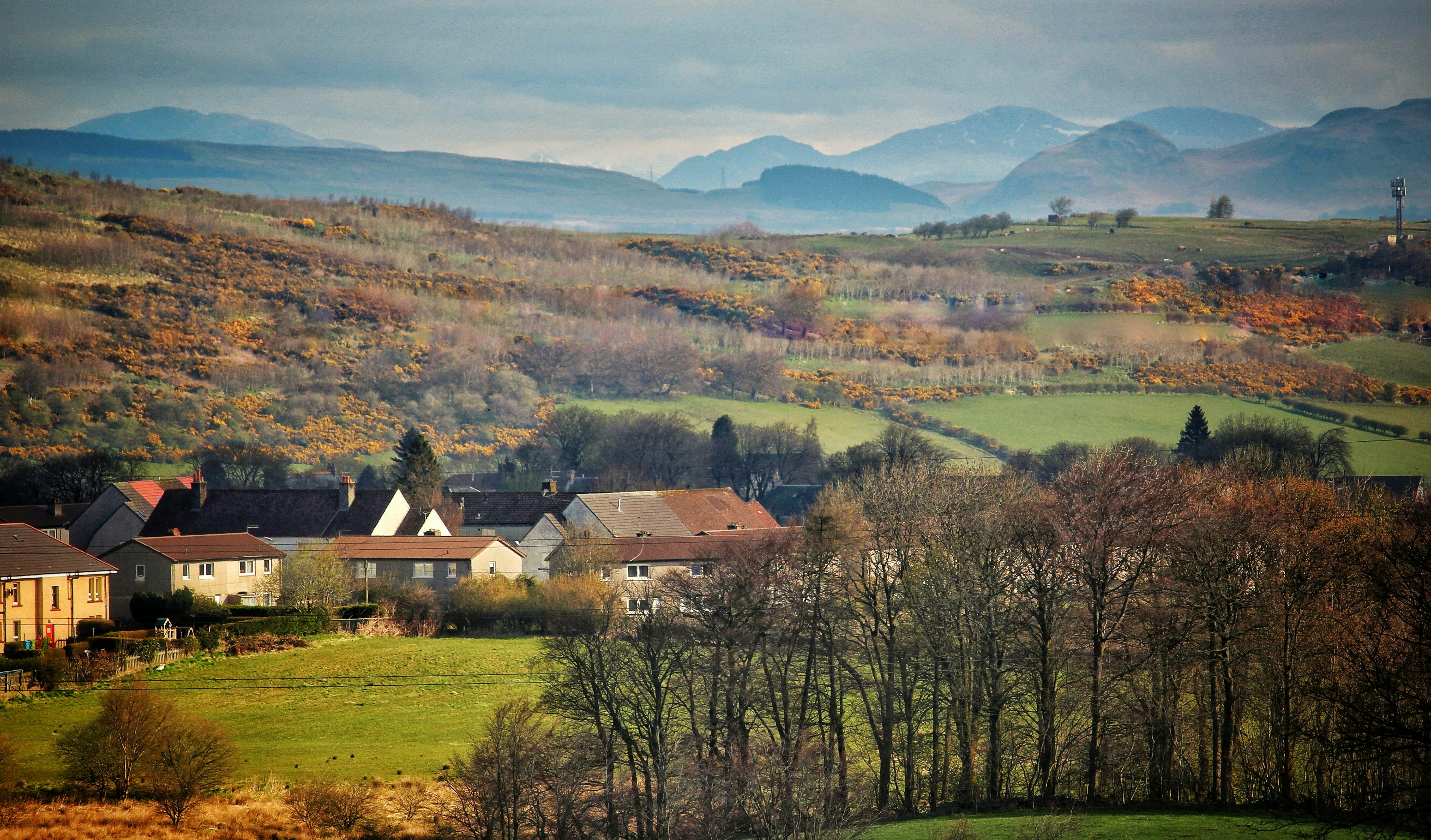 Photo by briancolllins