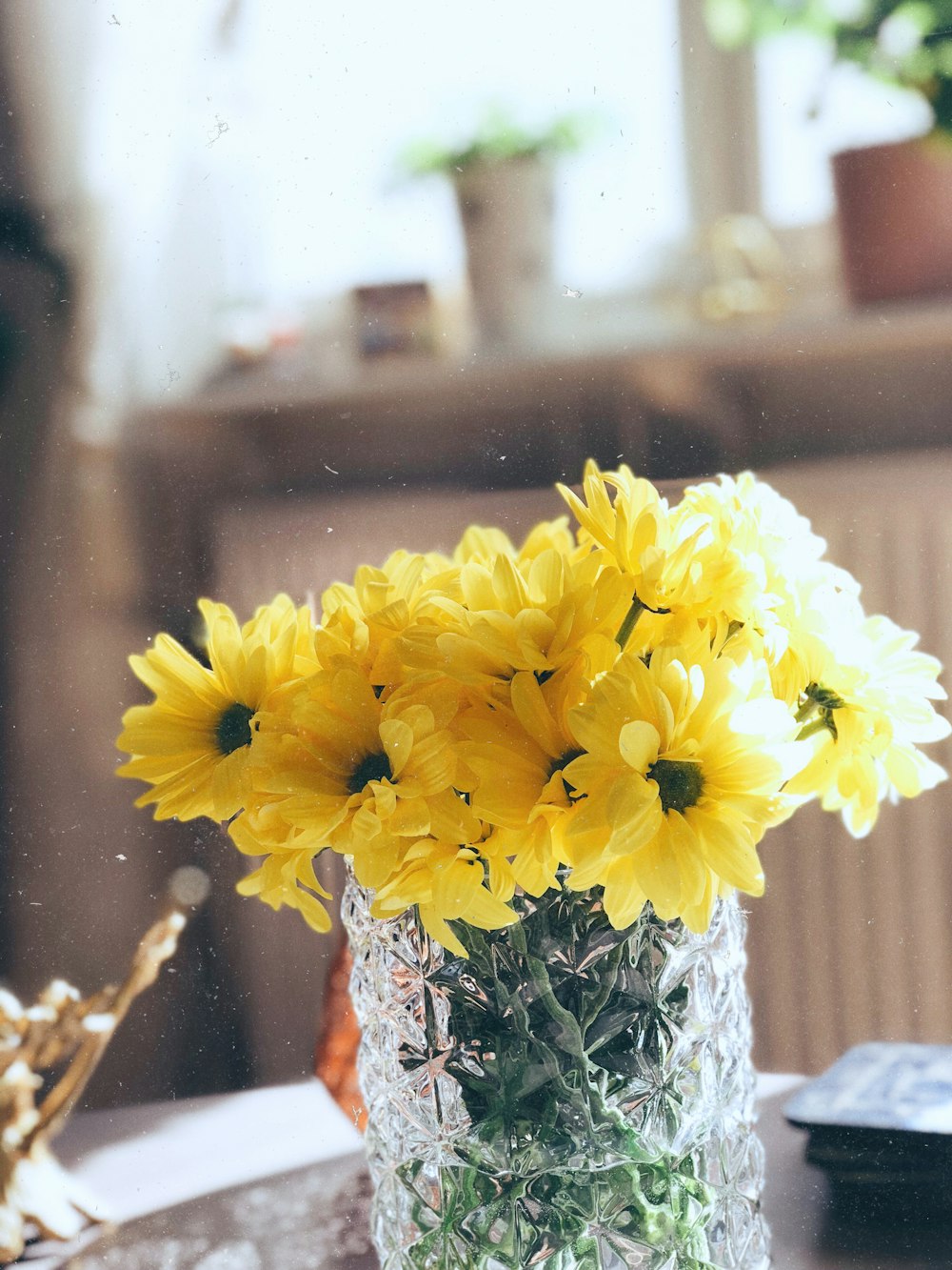 close-up photo of yellow petaled flowers in vase