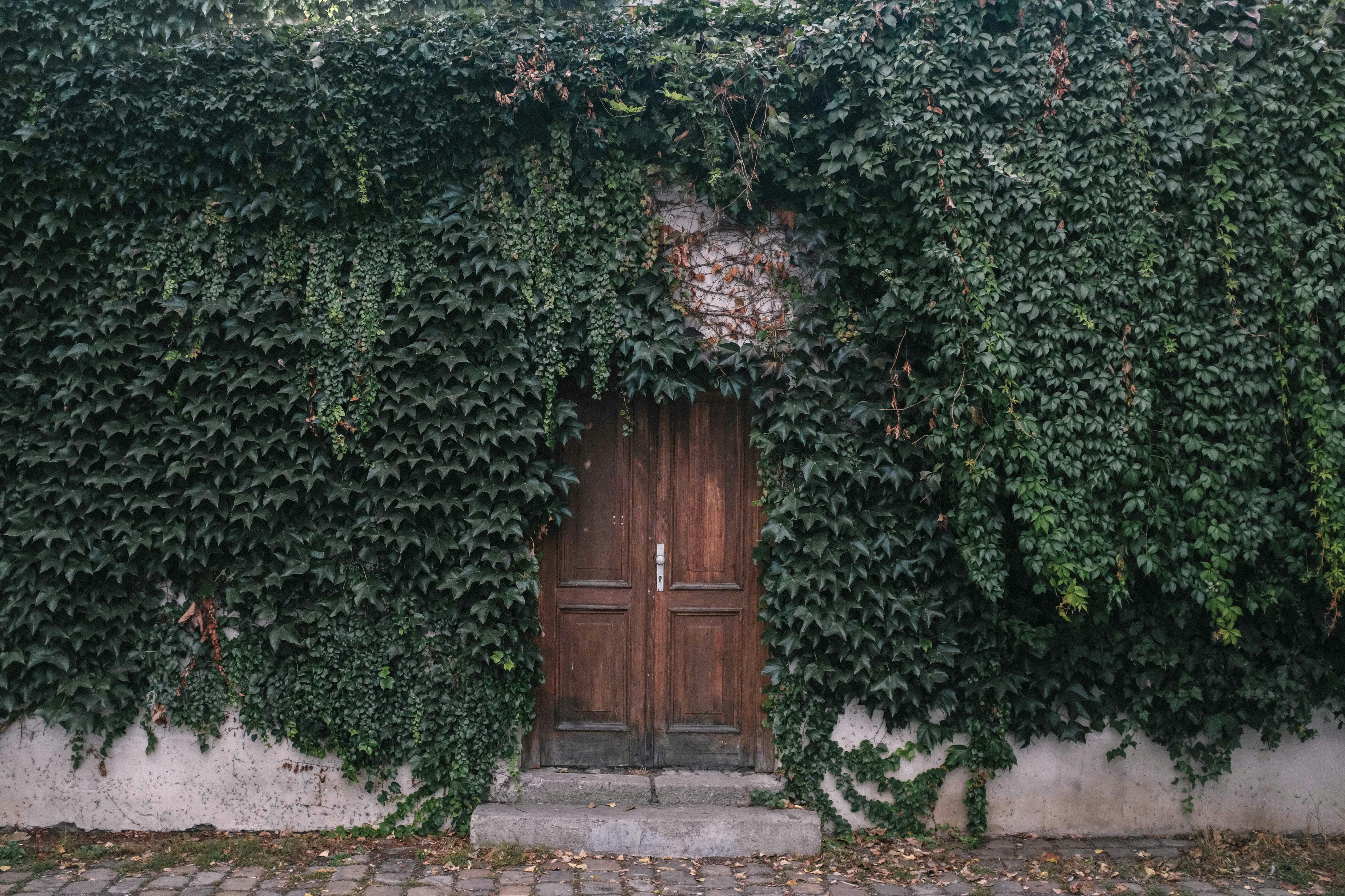 Free Images : tree, architecture, flower, window, building, home, green, cottage