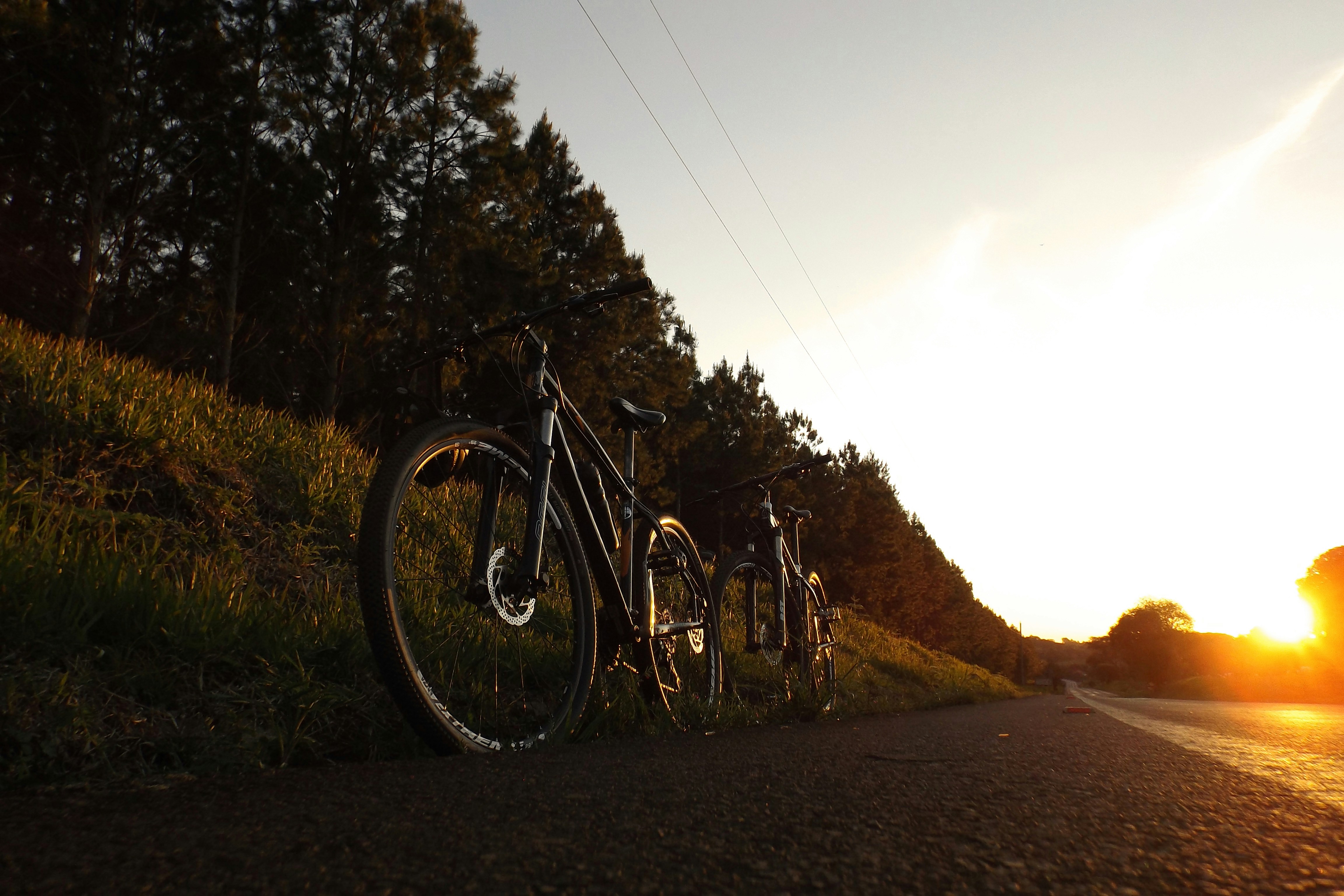 close-up photo of two bike parked beside tree during golden hour
