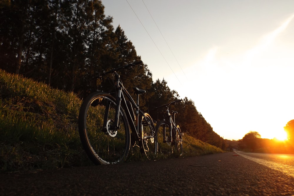 close-up photo of two bike parked beside tree during golden hour