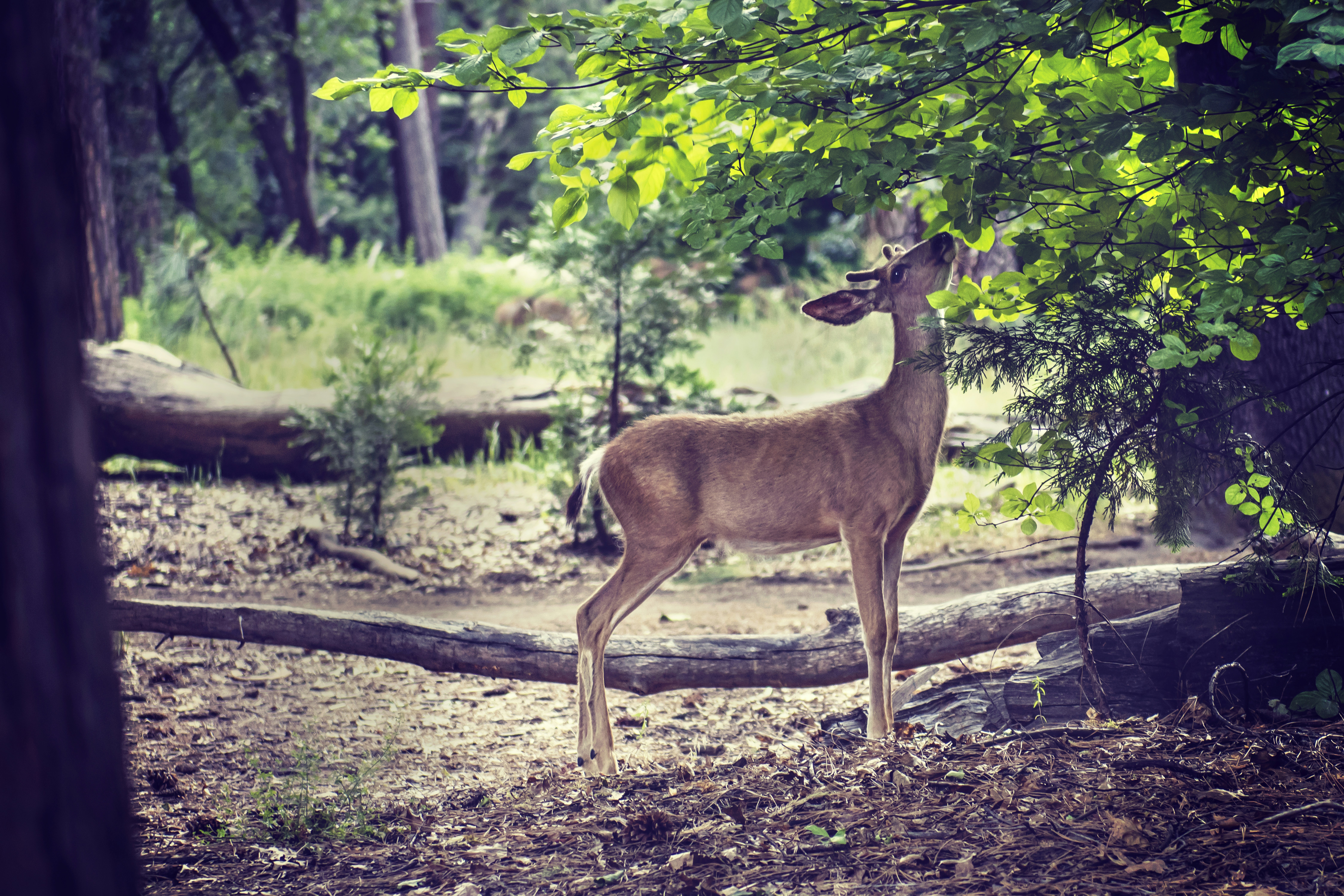 Photo by timmossholder