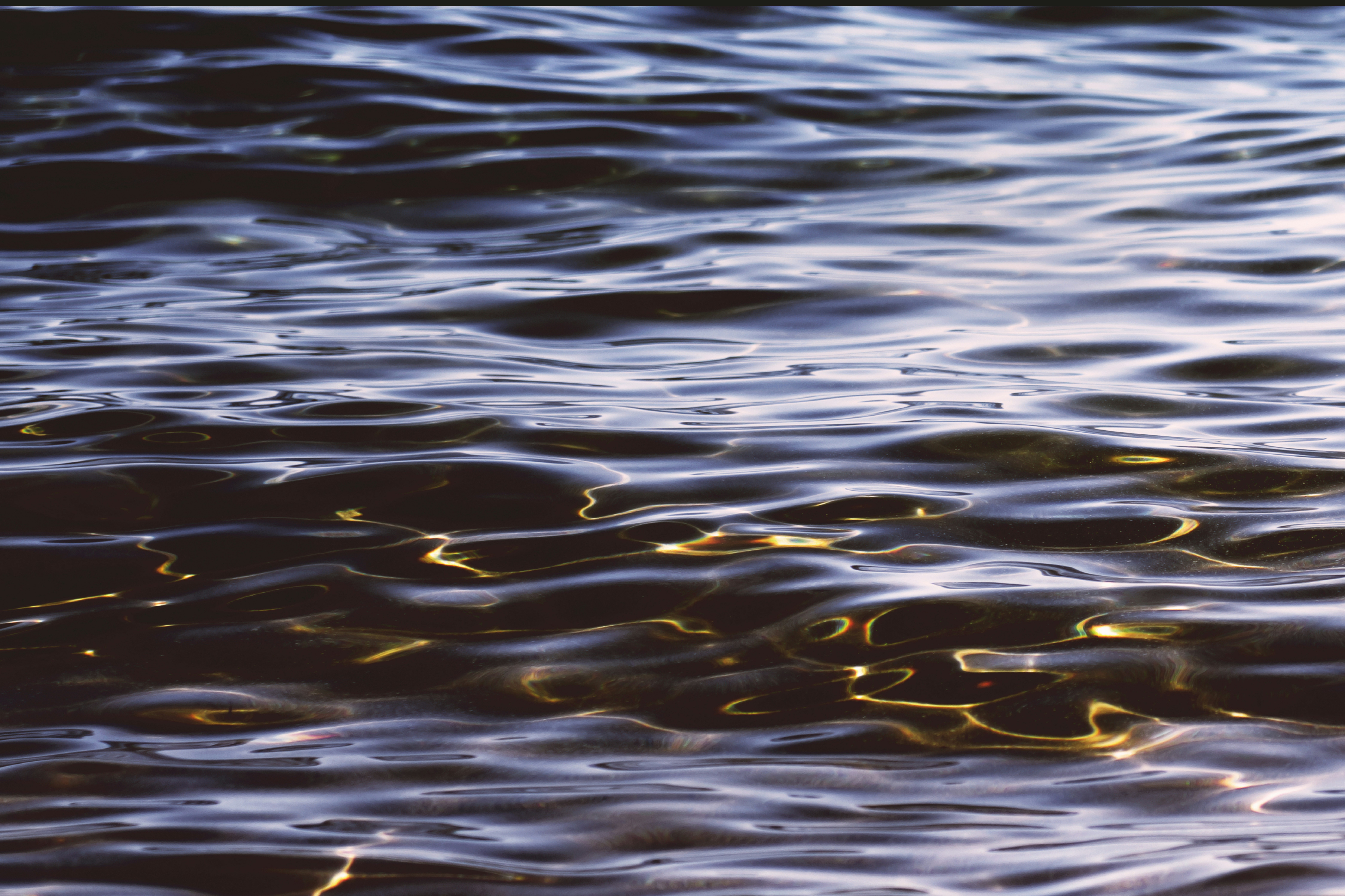 Photo by timmossholder