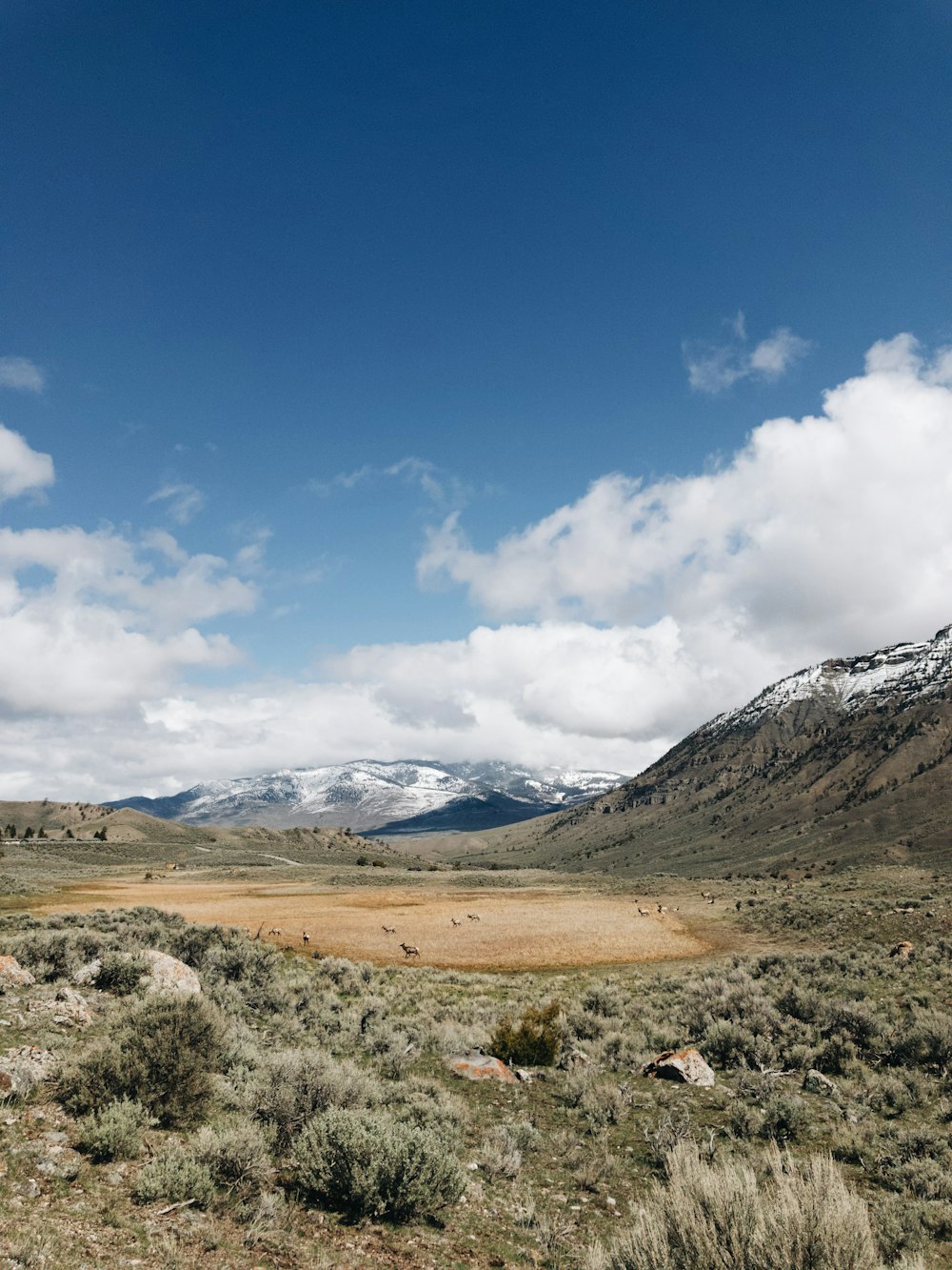 brown mountain near green field at daytime