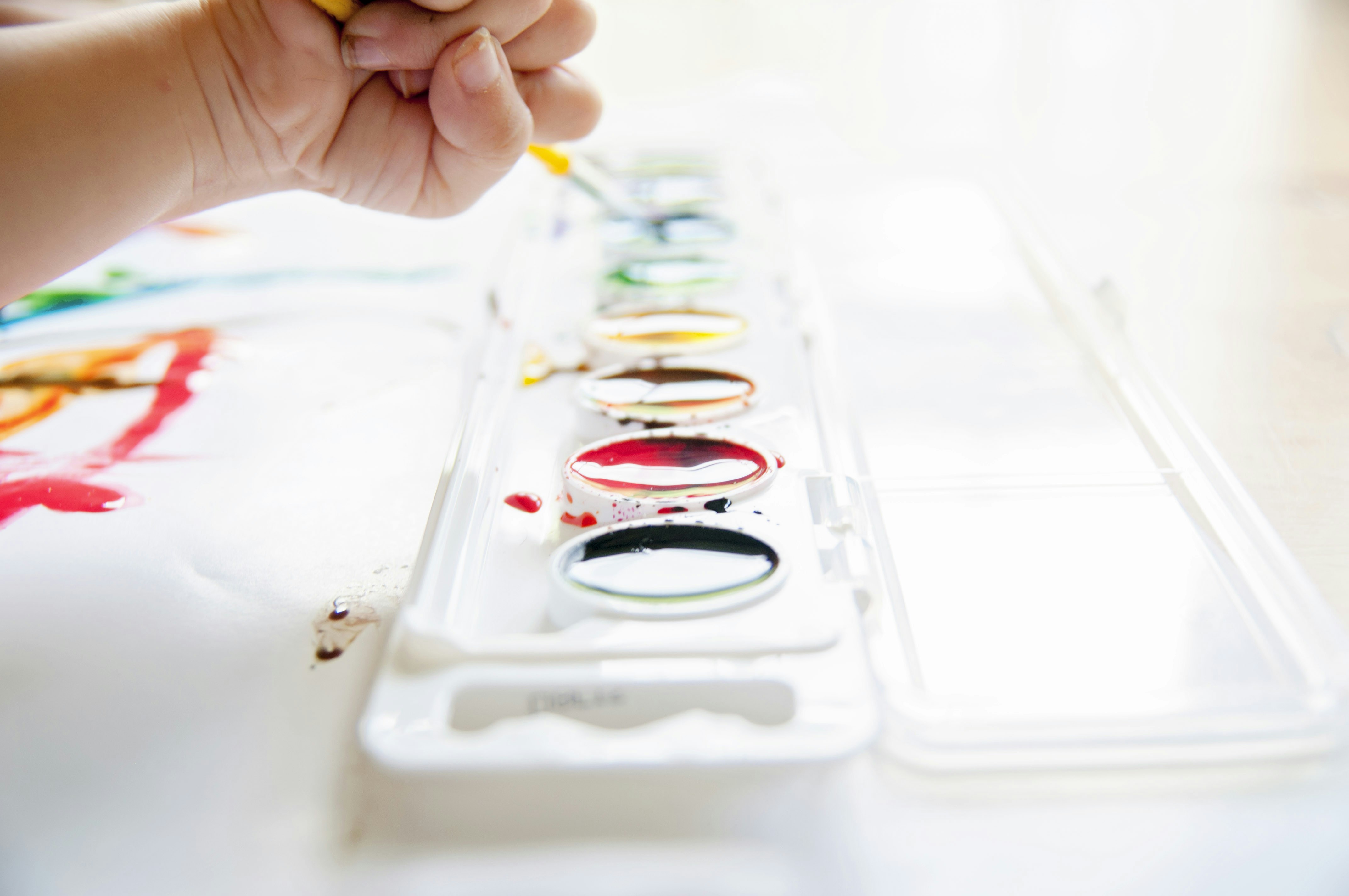 Photo by amswphotography