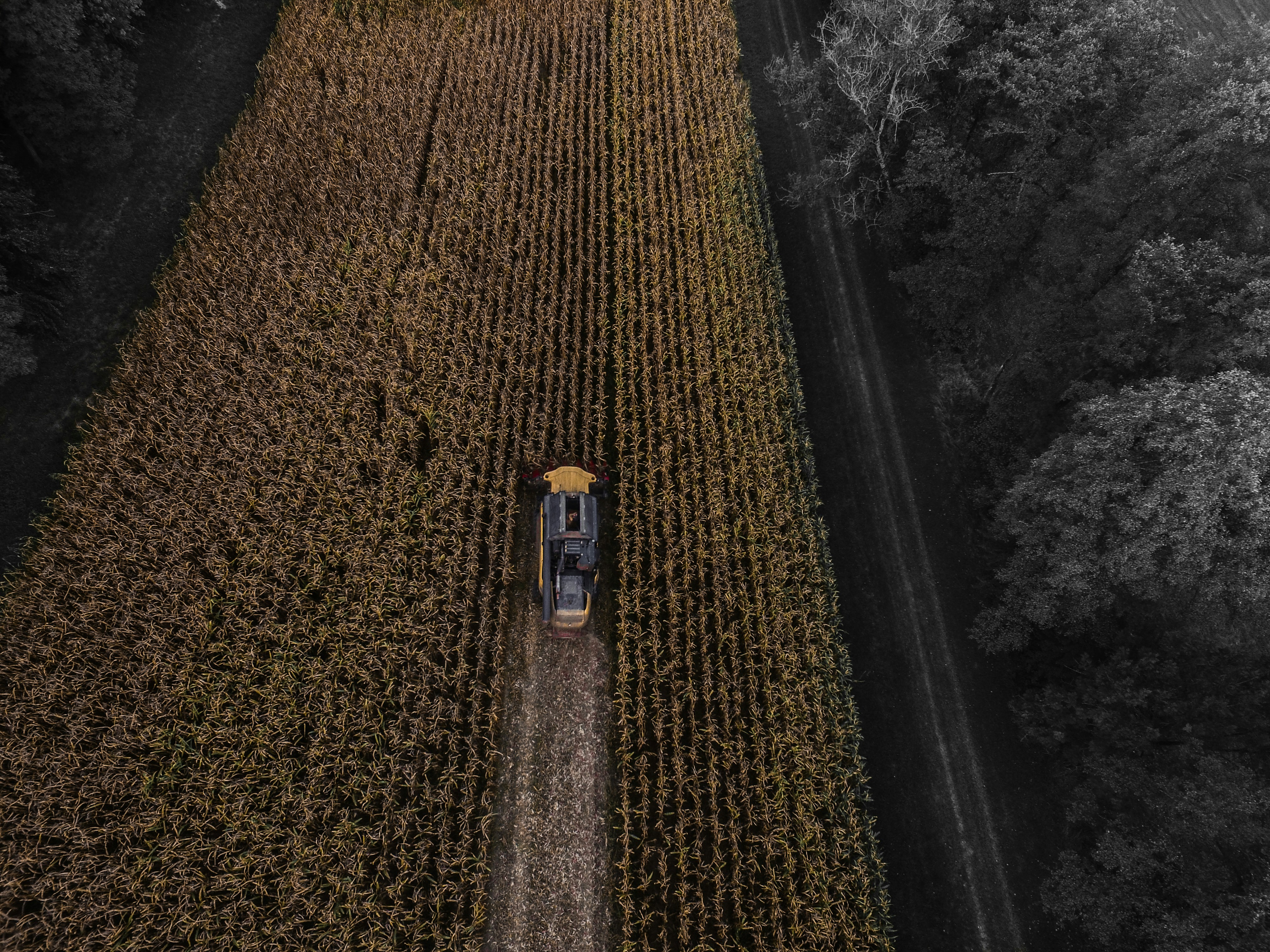 yellow and black truck on field aerial photography