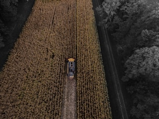 yellow and black truck on field aerial photography
