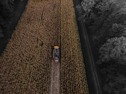 yellow and black truck on field aerial photography