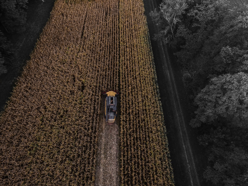 yellow and black truck on field aerial photography