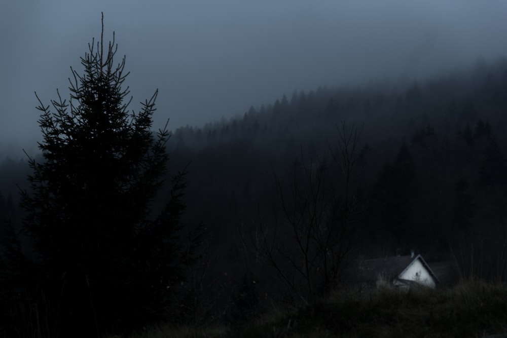 white and brown house on the mountain