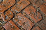 Wet and textured red bricks arranged in a pathway, interspersed with small pebbles and patches of dirt.