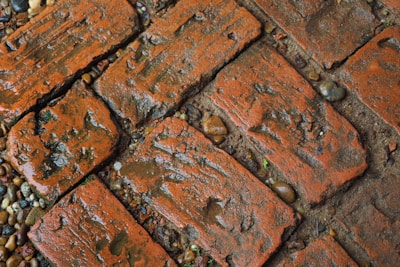 Wet and textured red bricks arranged in a pathway, interspersed with small pebbles and patches of dirt.