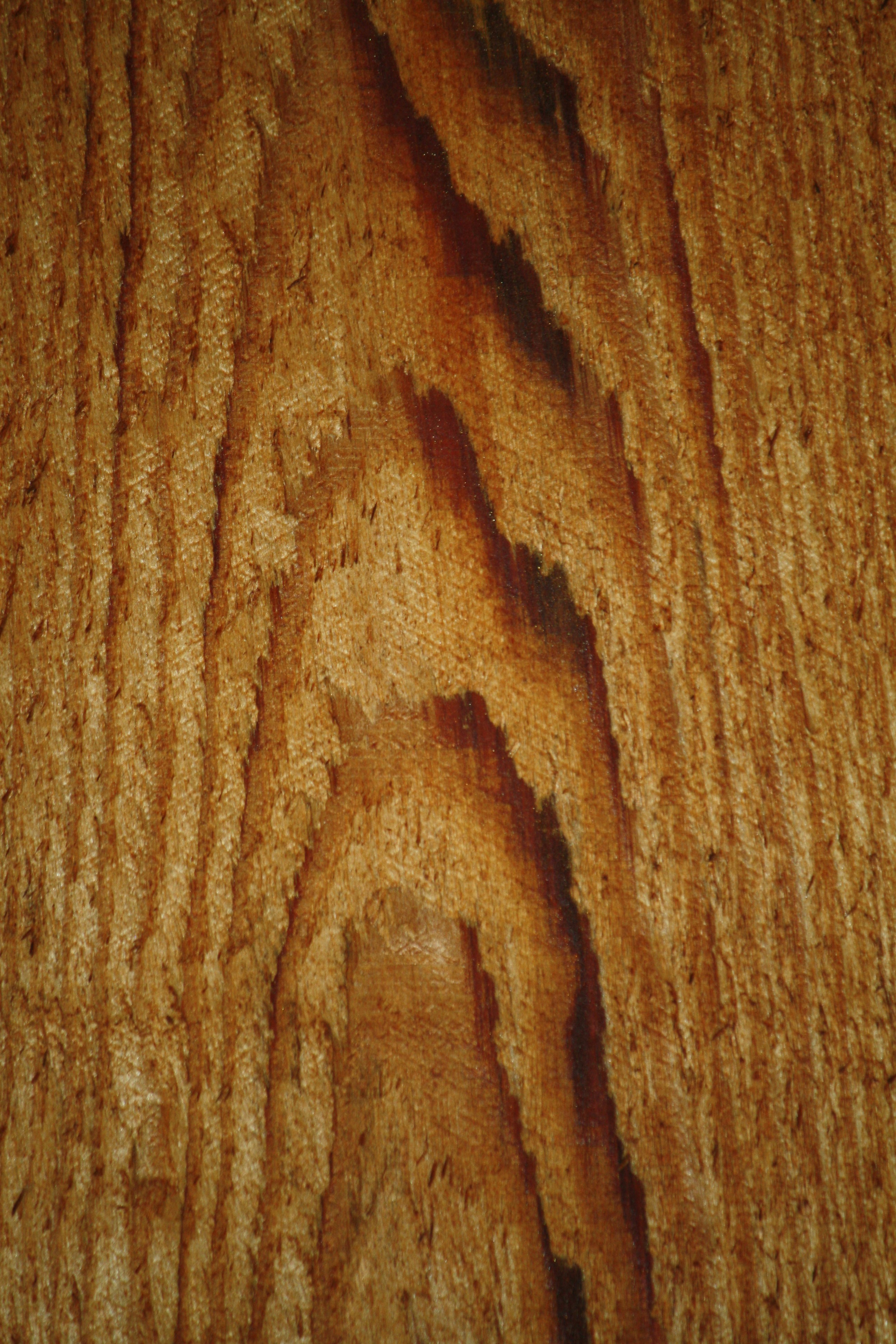 Close-up of fine wood grain texture with warm amber tones and subtle shadows