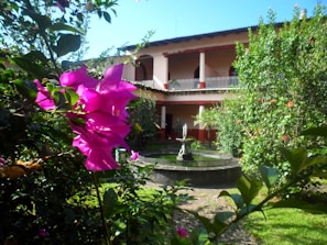 A courtyard garden with vibrant pink bougainvillea flowers in the foreground, lush greenery, and a small stone fountain at the center. The background features a two-story building with white railings and red trim, surrounded by more plants and trees.