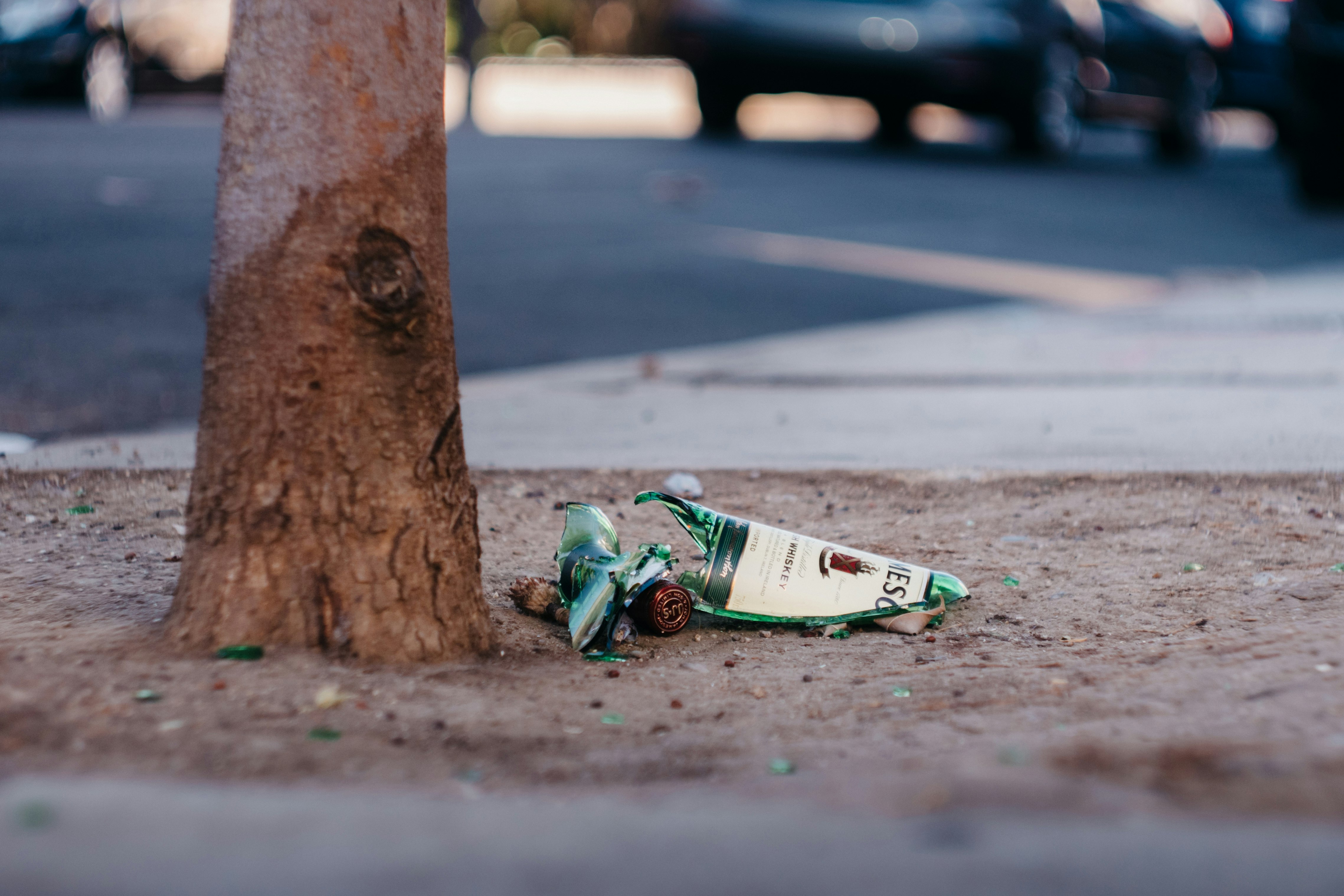 broken glass beside tree