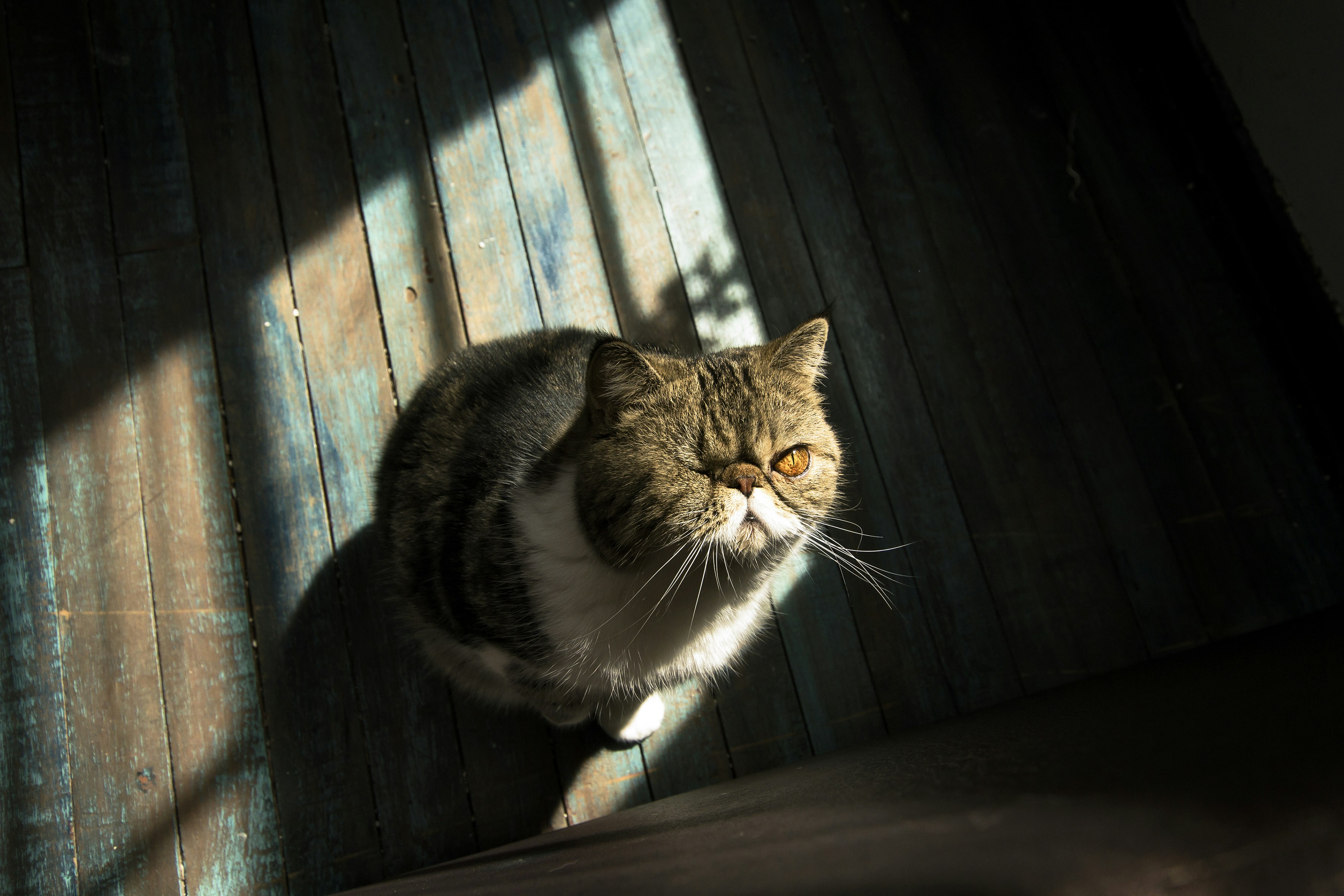 Photo by andresloquesea