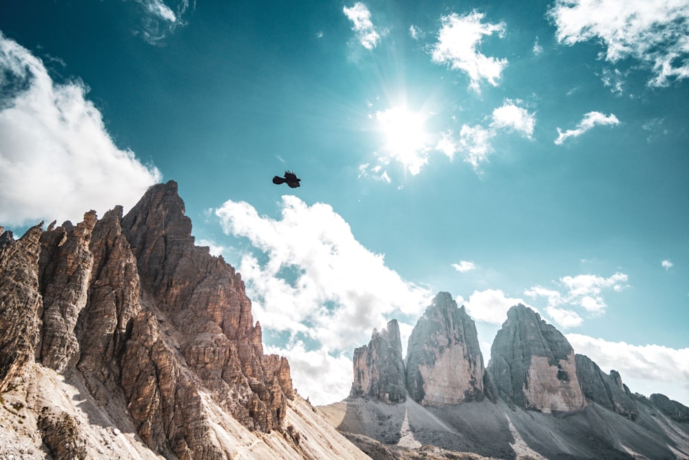 flight of bird above brown mountain