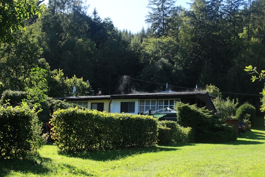 A small house is nestled in a lush green landscape surrounded by dense trees. The structure is modest, with a flat roof and a mix of small windows. The lawn in front is well-maintained, and hedges and shrubs add to the natural scenery. The forested background suggests a peaceful, secluded setting.