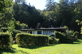 A small house is nestled in a lush green landscape surrounded by dense trees. The structure is modest, with a flat roof and a mix of small windows. The lawn in front is well-maintained, and hedges and shrubs add to the natural scenery. The forested background suggests a peaceful, secluded setting.