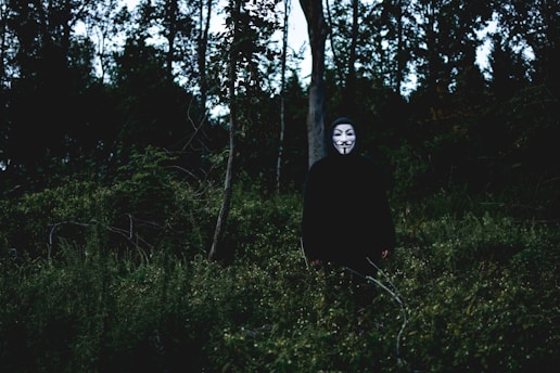 A person wearing a Guy Fawkes mask stands in a forest setting surrounded by dense trees and foliage. The atmosphere is dark and mysterious, with shadows dominating the scene.