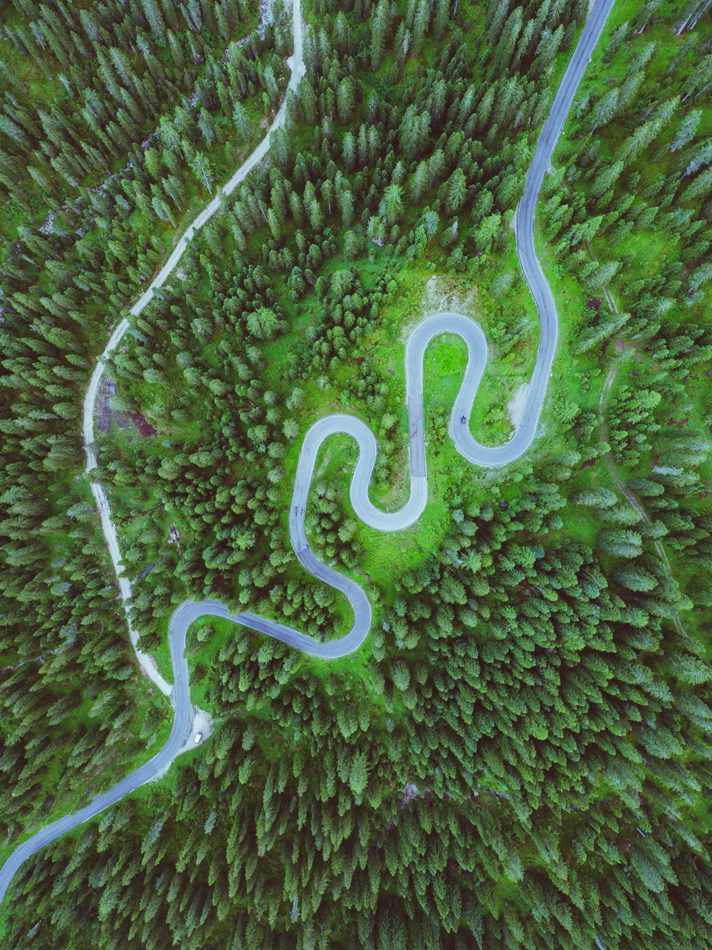 aerial photo of road surrounded by trees