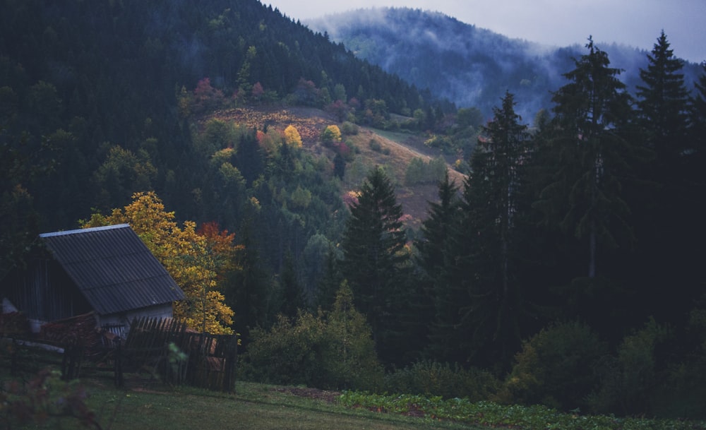 house on hill with trees and mountain background