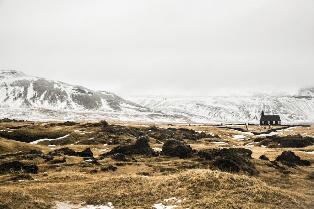 Landschaftsfotografie eines mit getrocknetem Gras bedeckten Landes