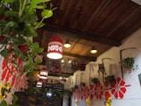A cozy indoor space featuring a wooden ceiling and walls adorned with red and white geometric patterns. Various hanging lamps with intricate designs cast a warm glow. Potted plants and green foliage add a touch of nature to the setting. Garments like pants and clothes hang from a line, contributing to a rustic aesthetic.