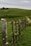 A barbed wire fence stretches across a grassy hillside, with tufts of wool caught on the barbs. The fence consists of wooden and concrete posts. Beyond the fence, rolling green hills extend into the distance under a cloudy sky, with scattered sheep grazing peacefully.