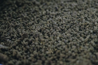 a close up of a pile of dirt