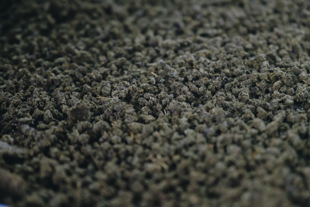 a close up of a pile of dirt