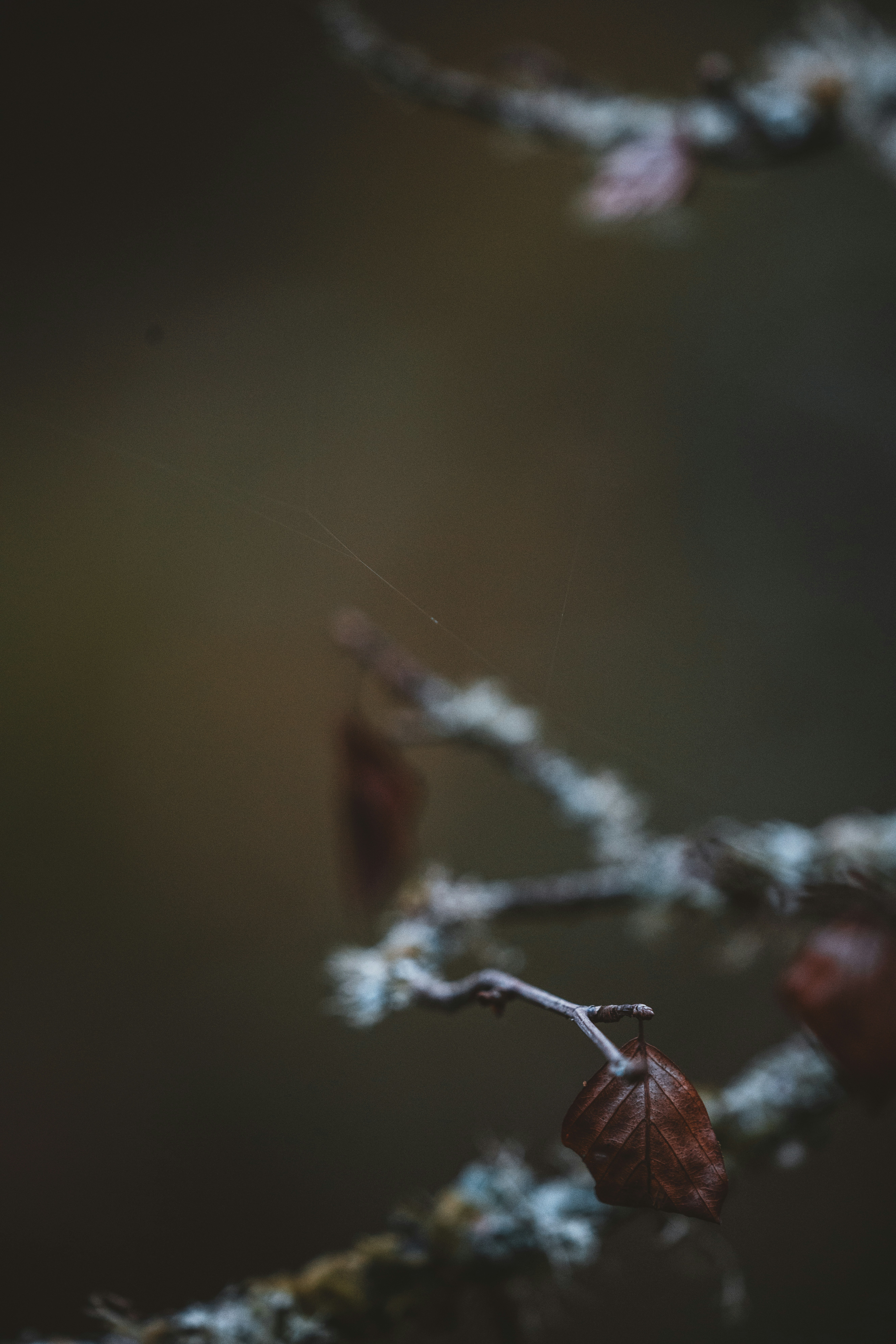 Photo by anniespratt